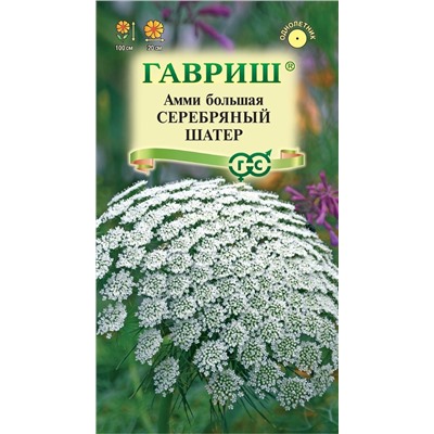 Амми Серебряный шатер (Гавр)