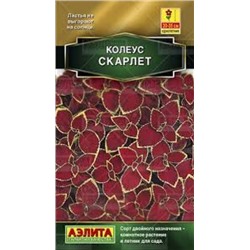 Цв.Колеус Блюме Скарлет (Аэлита) 5шт