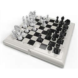 Шашки-Шахматы в серой пластиковой коробке (большие)
