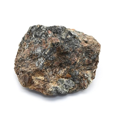 Камень лампрофиллит 52*48*30мм, 81г (M)