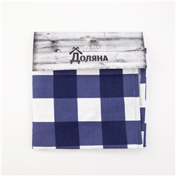 Фартук "Доляна" Best man 70х60 см, рогожка,100% хл, 160г/м2