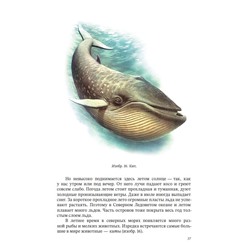География. Учебник для 4 класса начальной школы. Виткович Н.Е. 1955