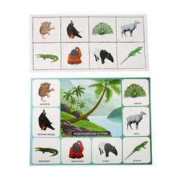 Обучающее большое картонное лото для детей «Кто где живет»