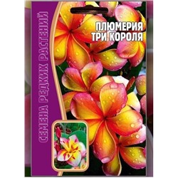 Плюмерия Три короля (Редкие)
