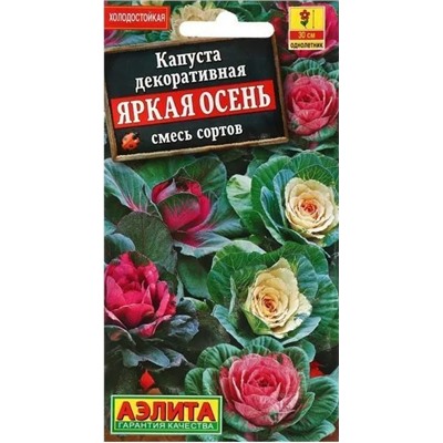 Капуста декор.Яркая Осень Аэлита