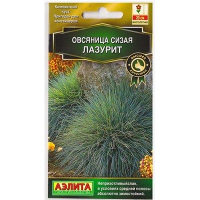 Овсяница Сизая Лазурит  (Код: 76225)