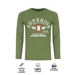 Футболка с длинным рукавом ФН176 Superior