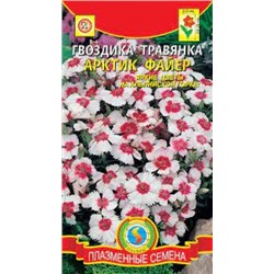 Цв.Гвоздика Травянка Арктик Файер (Плазма) 14шт