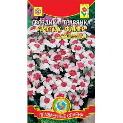 Цв.Гвоздика Травянка Арктик Файер (Плазма) 14шт