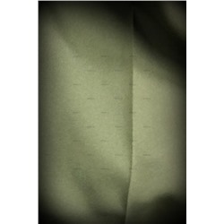 Iris-2