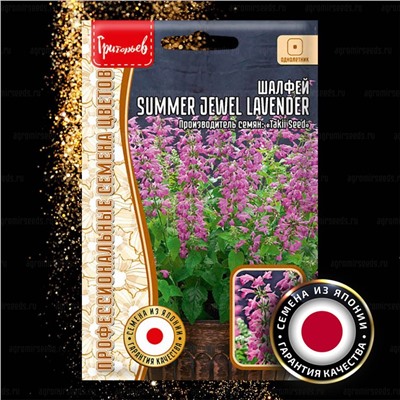 Шалфей Саммер Джевел левендер - Summer Jewel Lavender (Редкие)