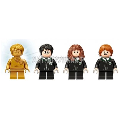 Конструктор Harry Potter Гарри Поттер. Ошибка с оборотным зельем 217 дет. 6053, 6053