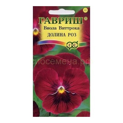 Виола Долина роз (Гавр)