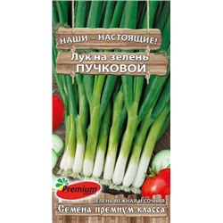 Лук На зелень Пучковой (ПС) 1,0г