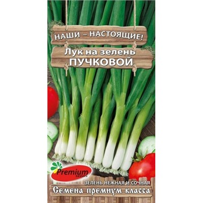 Лук На зелень Пучковой (ПС) 1,0г