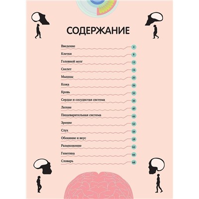Уценка. Тело человека. Визуальный гид