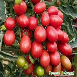 Томат Финик Розовый F1 (НК) 5шт Вкуснятина