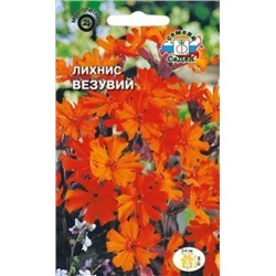Цв.Лихнис Везувий (Седек) 0,25г