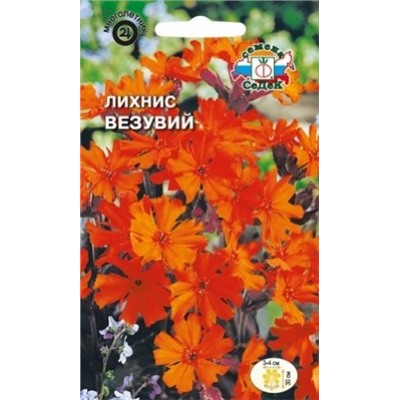 Цв.Лихнис Везувий (Седек) 0,25г