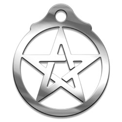 Амулет Серия Символы №02 Белая пентаграмма медицинская сталь SH 903402