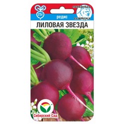 Редис Лиловая звезда (Сиб.сад) 2г