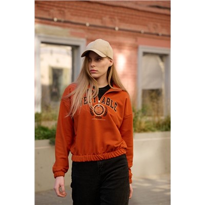 толстовка 3529-36