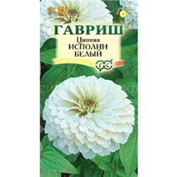 Цинния Исполин белый (Гавр)