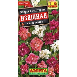 Кларкия изящная (Аэлита)