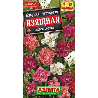 Кларкия изящная (Аэлита)