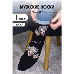 Носки мужские Гений