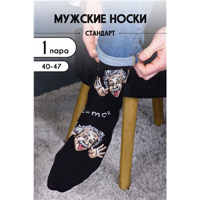 Носки мужские Гений