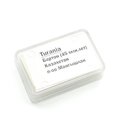 Зубы акулы "Turania" 5шт. в блистерной упаковке