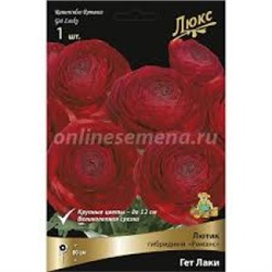Лютик Романс Гет Лаки 1шт (Поиск)