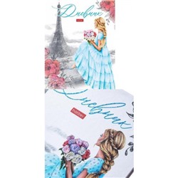 Дневник 1-11 класс (твердая обложка) "Романтика" (078950) 28160 Хатбер