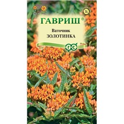Ваточник Золотинка  (клубненосный) (Гавр)