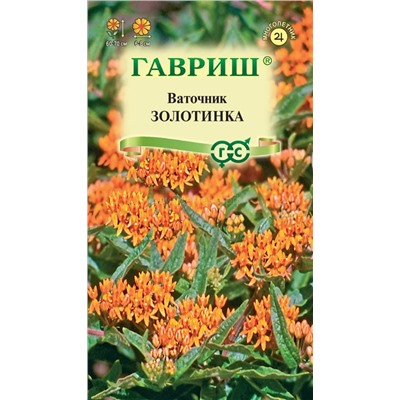 Ваточник Золотинка  (клубненосный) (Гавр)