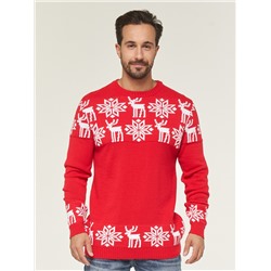 Джемпер мужской 202-12246