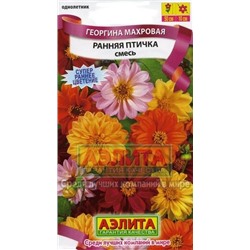 Цв.Георгина Ранняя птичка смесь (Аэлита) 0,3г