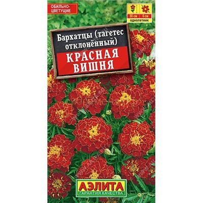 Бархатцы Красная вишня отклон. (Аэлита)