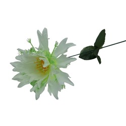 Цветок искусственный Астра 49см  белая  YL-17-1 (вып.по 10шт)