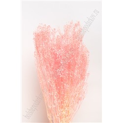 Сухоцветы декоративные (SF-2838) розовый персик