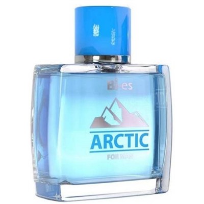 ARCTIC 100ml /муж  М~  БЕЗ УПАКОВКИ