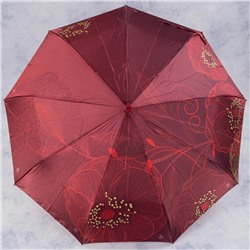 зонт 
            35.FSC1010-05
