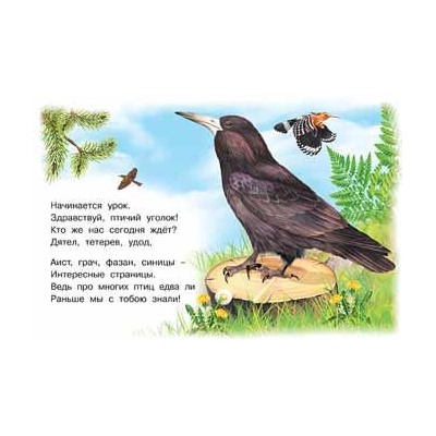 Кн. Знакомимся с животными.  Лесные птицы 16 цветн.стр. 21,3*14,2см  27681