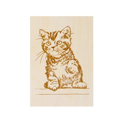 Фанера с рисунком для выжигания по дереву «Котик» (2 штуки)
