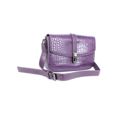 Сумка женская искусственная кожа DJ-СМ 6733-PURPLE,  1отд,  плечевой ремень,  фиолетовый 256036
