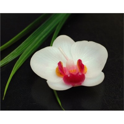 Свеча Charming Орхидея MLCG8337CN