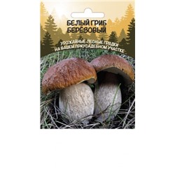 Грибы Белый гриб Березовый (ССПК) (УД) 30мл