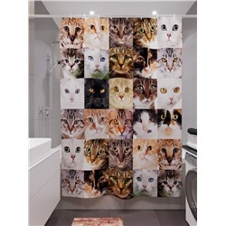 Фотоштора для ванной Мордочки кошек