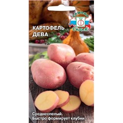 Картофель  Дева красн (Седек)